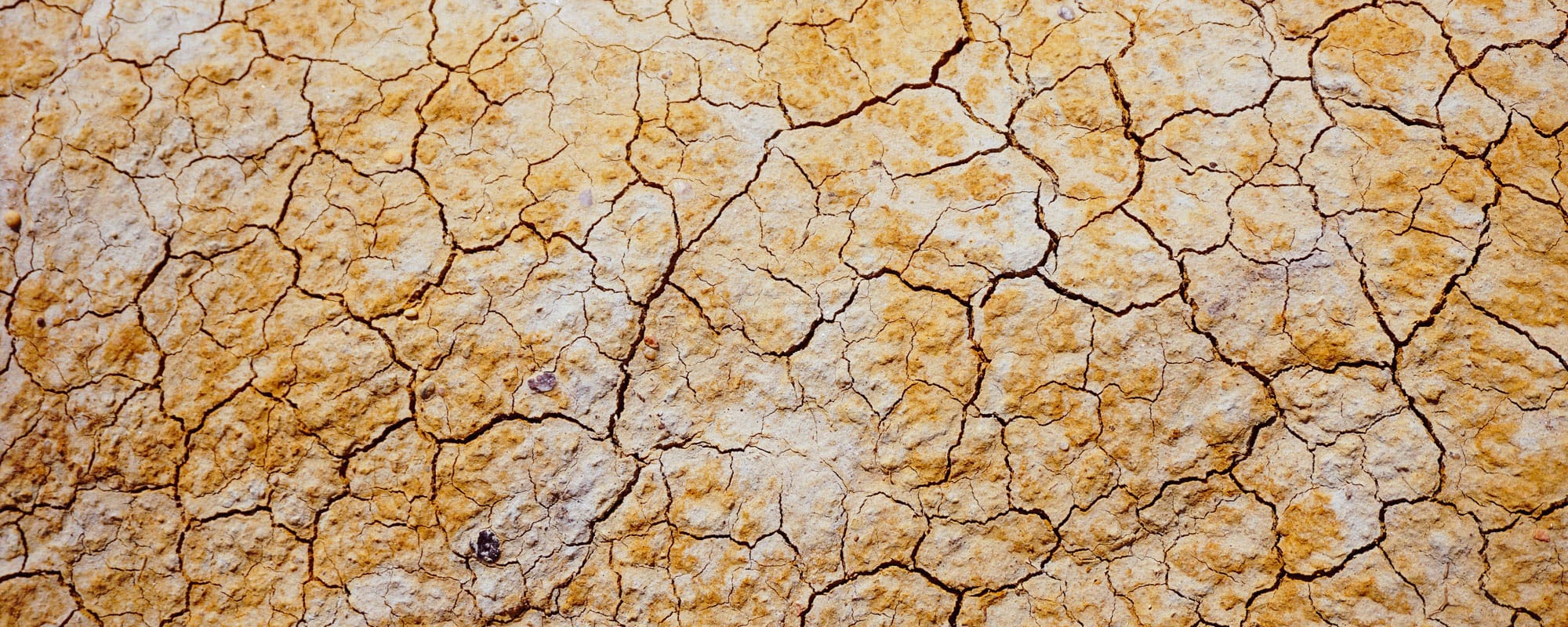 Gudstjänst: ”Prövningens stund”