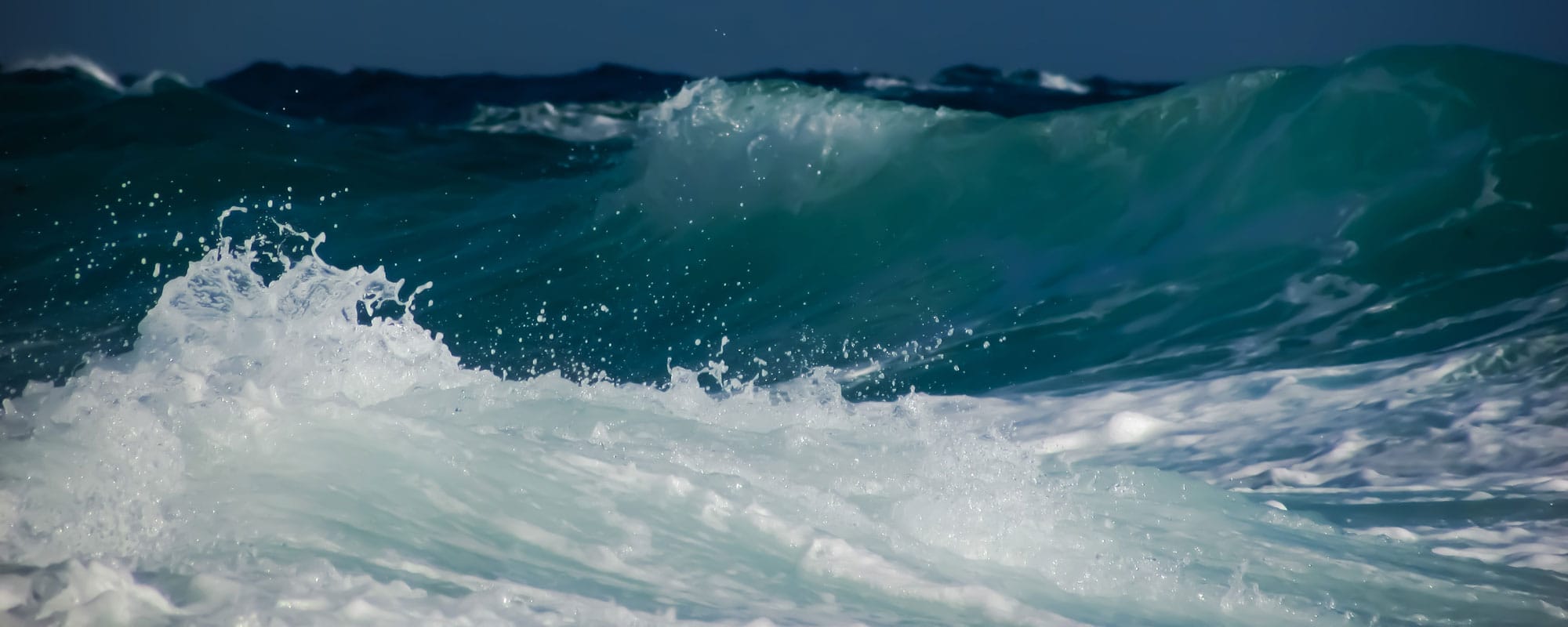 Årshögtid med nattvardsgudstjänst: ”Kärlekens väg”