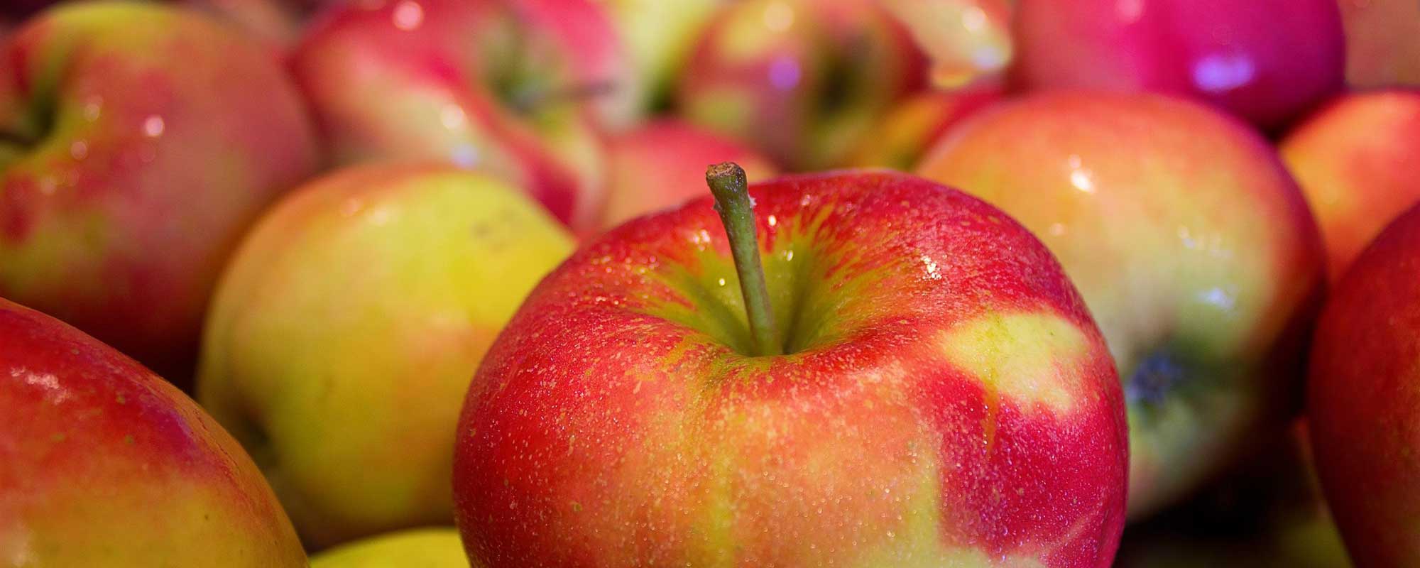 Gudstjänst: ”Samhällsansvar”